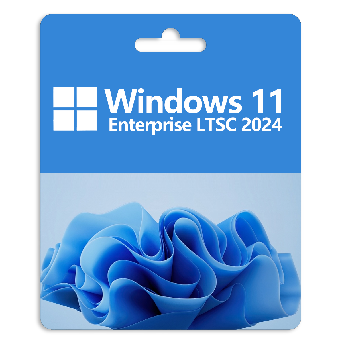 Windows 11 Enterprise LTSC 2024 Global CD Key